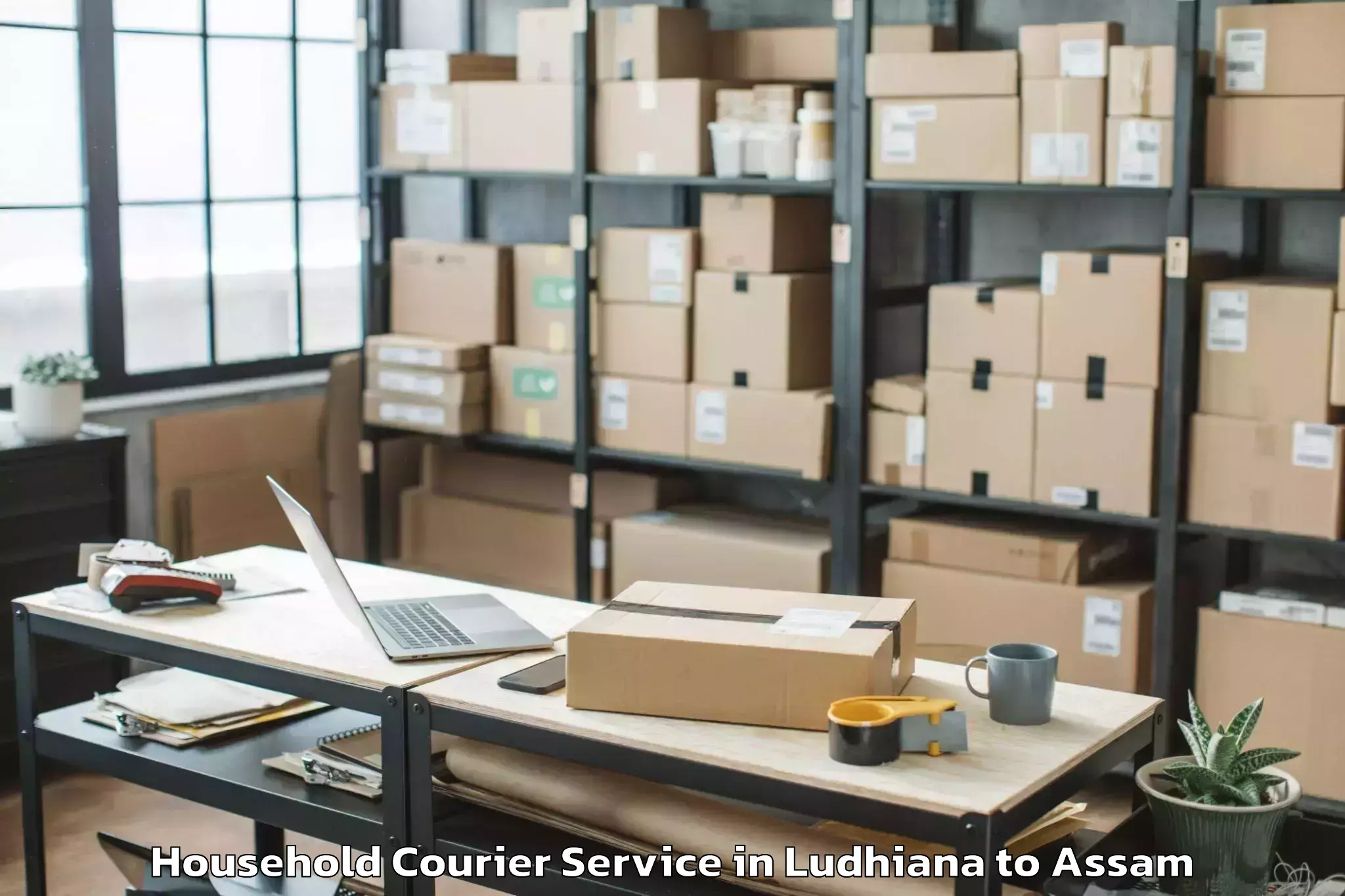 Hassle-Free Ludhiana to Udarbond Household Courier